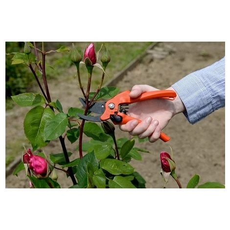 Sécateur De Jardin Pour Droitier 200mm Bahco PG-01-F 2 Sécateur De Jardin Pour Droitier 200mm Bahco PG-01-F – Image 2