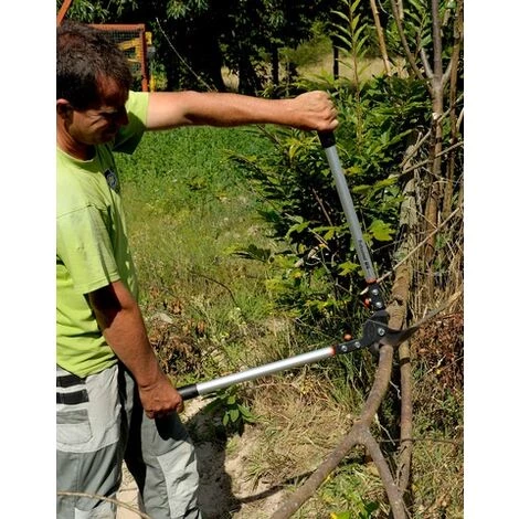 Ebrancheur Professionnel 800mm Bahco P19-80-F 2 Ebrancheur Professionnel 800mm Bahco P19-80-F – Image 2