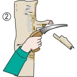 BAHCO Scies Arboricoles 28 Cm Poignée Bois 4212 -Pas Cher BAHCO Magasin 22787623 3