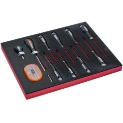 BAHCO - Jeu De Tournevis TORX®/embouts, Module Mousse 2/3 Fit&Go - 12 pcs